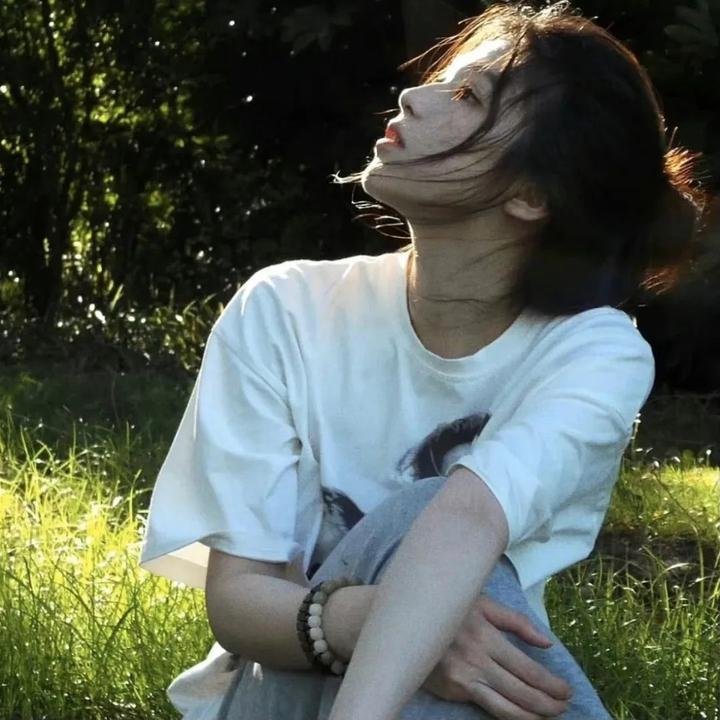 水星领航员第一季